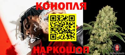 сатива Рузаевка