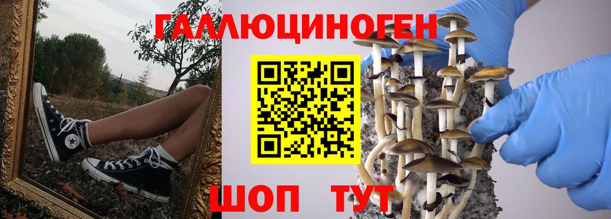 Галлюциногенные грибы MAGIC MUSHROOMS Первоуральск
