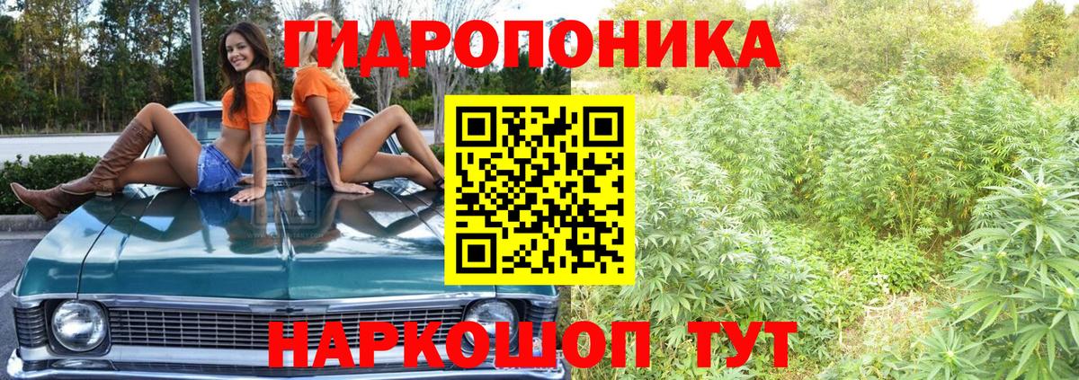 Шишки марихуана планчик Первоуральск